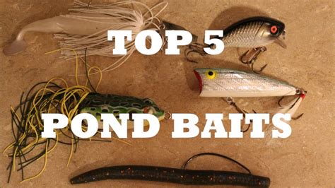 Best Bait For Pond Fishing