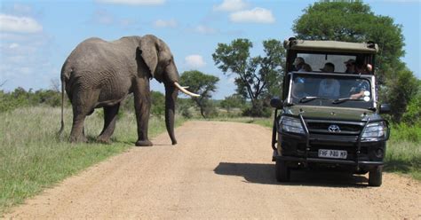 Johannesburg Full Day Open Safari In Kruger National Park Getyourguide