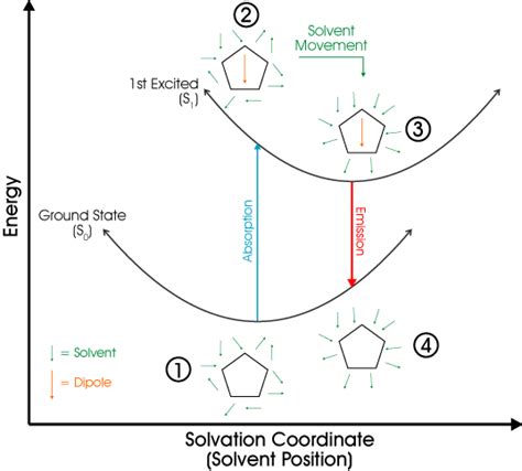 Hybrid Molecular Dynamics-Quantum Mechanics Simulations of Solvation Dynamics