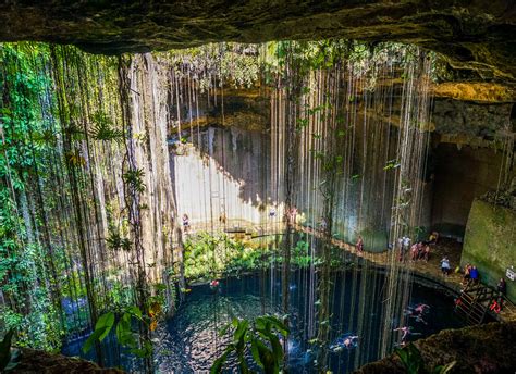 Los 🥇 10 Cenotes Más Impresionantes De La Riviera Maya