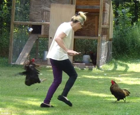 Chickens Attack Owner After She Lets Them Out Of Their Coop For Some