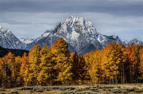 Autumn In The Tetons Fall Colors In The Grand Tetons Dwight