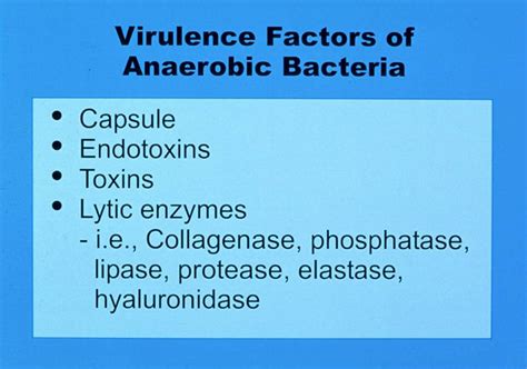 Anaerobic Infections Microbiology And Virulence