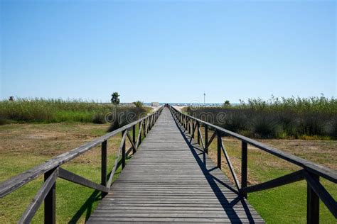 Walkway Of A Wooden Bridge Surrounded By Vegetation That Leads To The