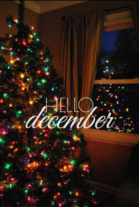 Download Hello December Big Christmas Tree Wallpaper
