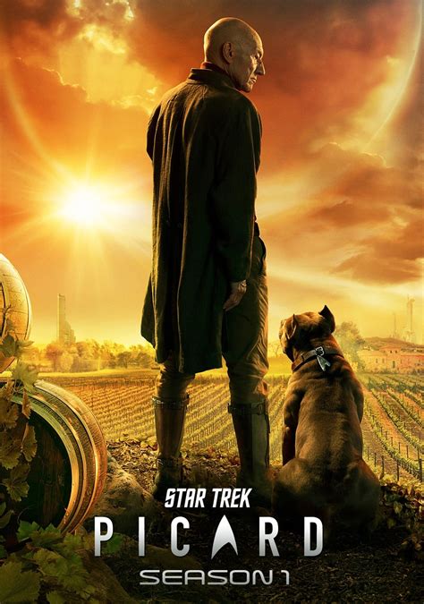 Star Trek Picard Tv Series 2020 2023 Posters — The Movie Database