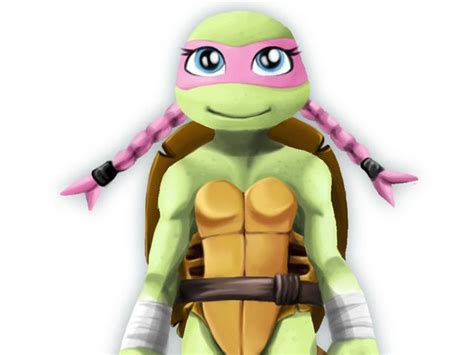 which female ninja turtle are you female ninja turtle ninja turtles turtle