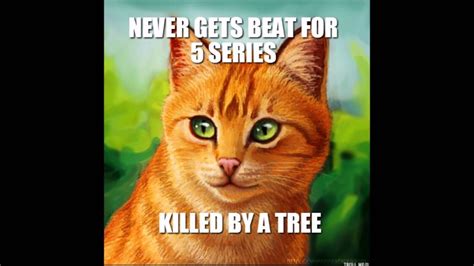 8d i feel so much 1. Warrior Cats memes clean - Google Search | Cat memes clean ...