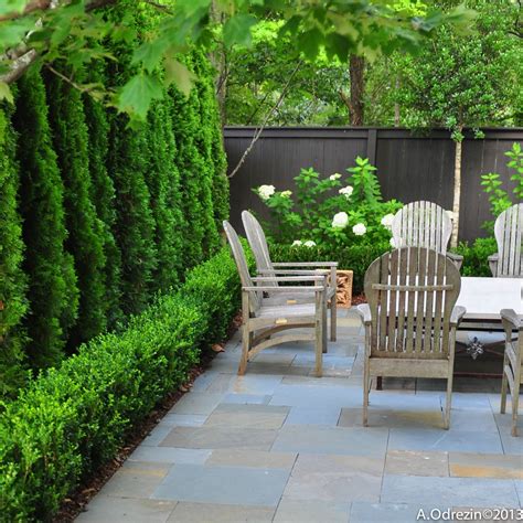 10 Privacy Landscaping Around Patio