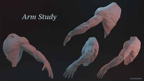 Artstation Arm Study Render