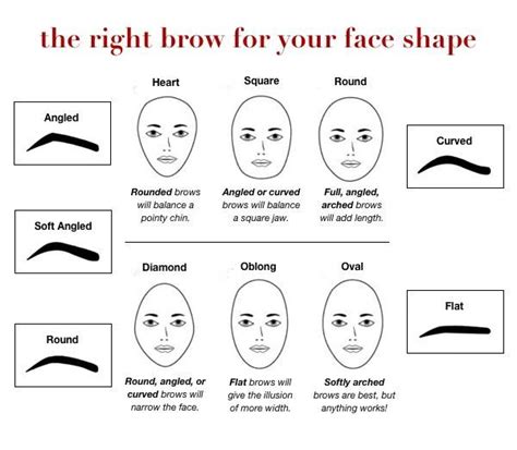 Perfect Eyebrow Shape For Round Face Alfred Rogers Coiffure