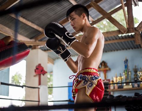 muay thai boxing coaching and training in thailand singburi sporting opportunities