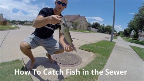 Greenfish icon editor pro (gfie pro) is a powerful open source image editor, especially suitable for creating icons, cursors, animations and icon libraries. How to Catch Fish in the Sewer - LiveOutdoors