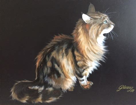 Maine Coon Cat Im Waiting Painting By Ginny Helsen Artmajeur