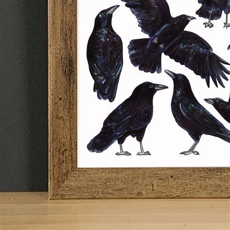 Crows Watercolour Art Print By Alexia Claire