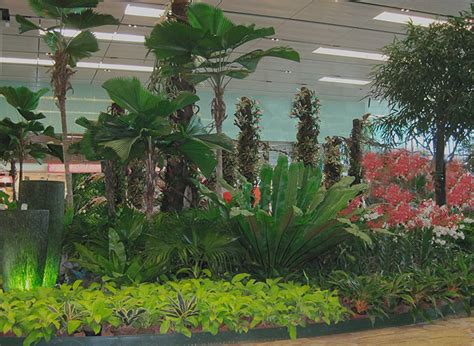 Expert gardener felder rushing recommends these indoor tropicals for their beautiful foliage and easy care. Tropical Garden and Landscape: Indoor Tropical Garden