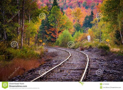 Autumn Color Along A Railroad Track In White Mountain National F Stock