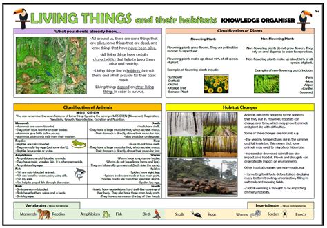 Year 4 Living Things And Their Habitats Knowledge Organiser Teaching