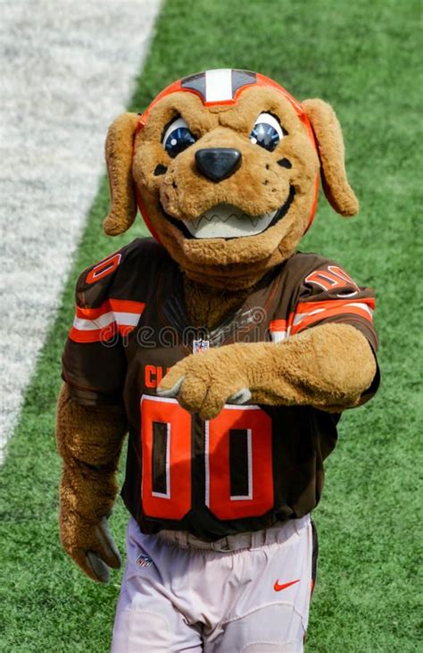 A Football Player Dressed As A Dog On The Field Royalty Images And