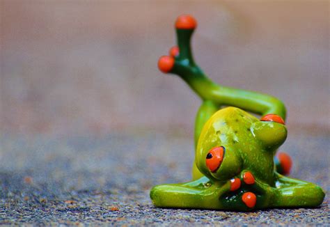 Frog Relaxed Figure Free Photo On Pixabay Pixabay