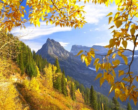 Glacier National Park And Montana Autumn Mix Mountain