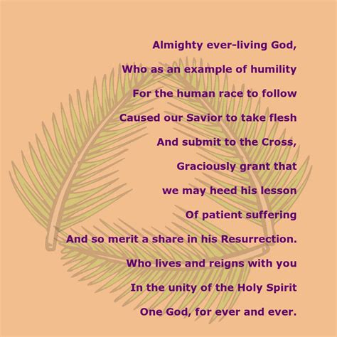Daily Homilies Palm Sunday 2017