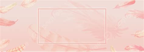 Flying Feather Pink Feather Background Pink Banner Background Pink