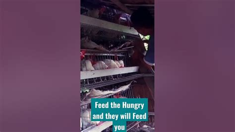Feed The Hungry Youtube