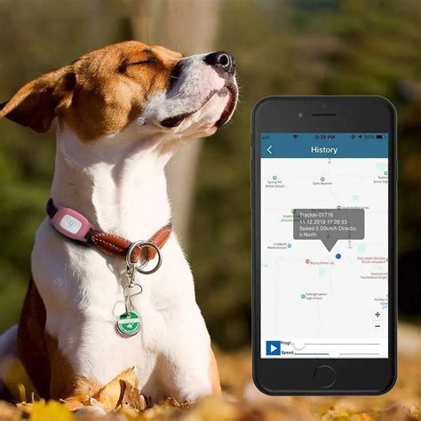 Cat Gps Tracker Collar Pet Location Tracking Device Modern Depot