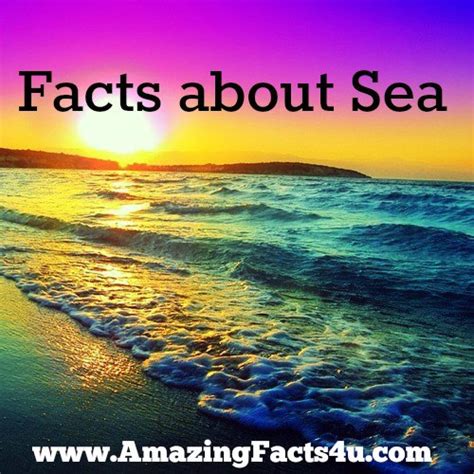 Sea Amazing Facts 4 U