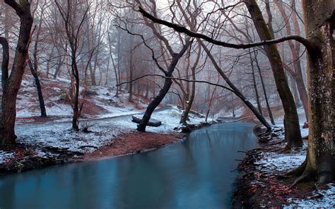 Winter Landscape Calm Mountain River Bare Trees Without