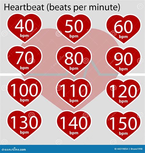 Heartbeat Infographic Stock Illustration Image 44319854