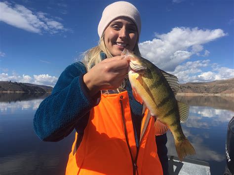 Photos Of Kokanee Salmon Fishing And Reports On Blue Mesa Reservoir In