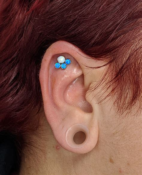 Flat With A Titanium Cluster In 2020 Ear Piercings Piercings Ear