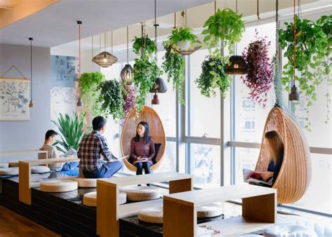Why Plants Should Be Incorporated Into The Workspace Designbump