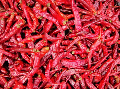 A Bite Of Life In Sf Szechuan Cuisinechili Pepper