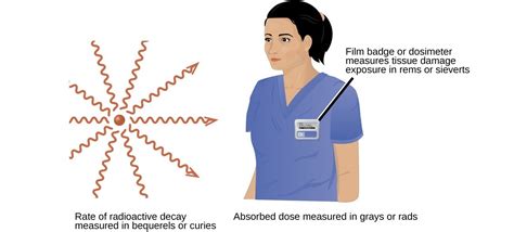 Biological Effects Of Radiation General Chemistry