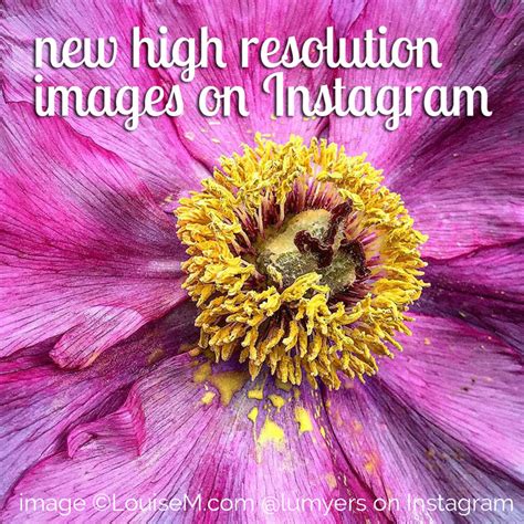 Instagram photo size guide for 2020. What's the Best Instagram Photo Size? NEW High Resolution!