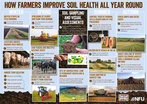 How Farmers Improve Soil Health All Year Round In 2020 Soil