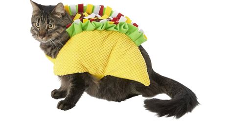 Frisco Taco Cat Costume Best Costumes For Cats