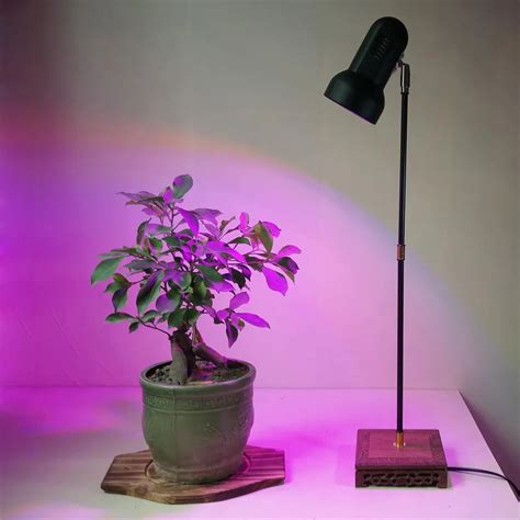 28w Indoor Led Plant Grow Light Stand Desk Lamp For Home Indoor Garden
