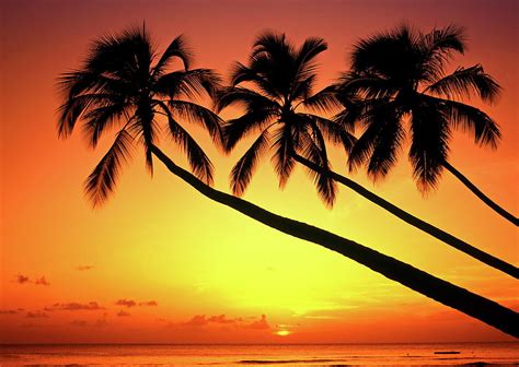 Sunset At Tropical Beach Barbados Photograph By Hans Peter Merten
