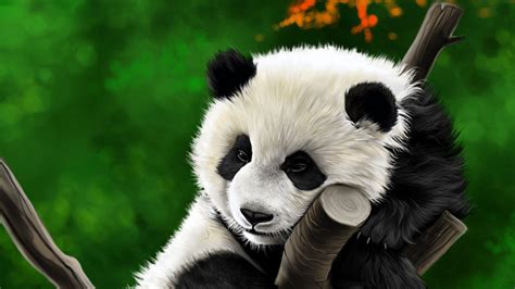 Download Wallpaper 1920x1080 Panda Animal Branch Art Full Hd Hdtv