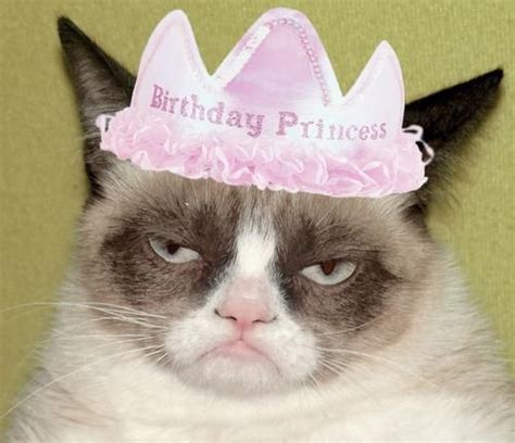 Grumpy Cat Bday Princess Grumpy Cat Blank Pinterest
