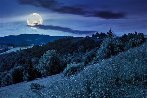 Pictures Nature Mountains Sky Moon Forests Night Grass