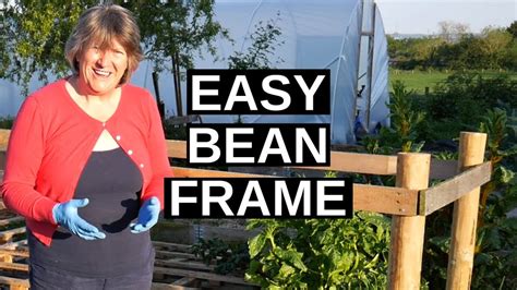 One great thing about growing pole bush beans. The BEST Bean Support EVER! (for runner beans and for pole ...