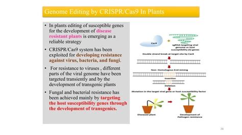 Crispr Cas9 In Plant Disease Resistance