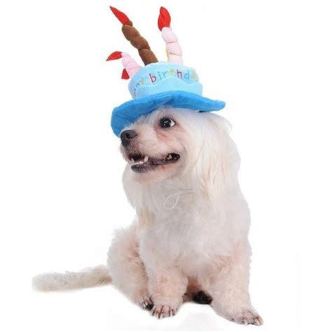 Tinksky Cat Dog Pet Happy Birthday Party Hat With Cake And 5 Colorful