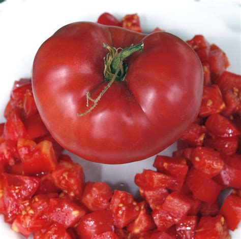 German Johnson Tomato A Comprehensive Guide World Tomato Society