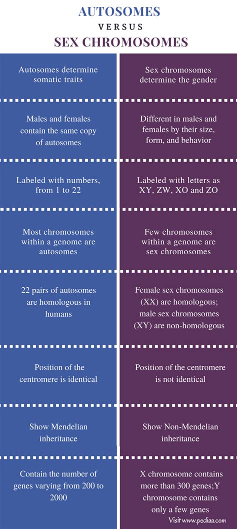 How Autosomes Differ From Sex Chromosomes Xxx Hot Porn